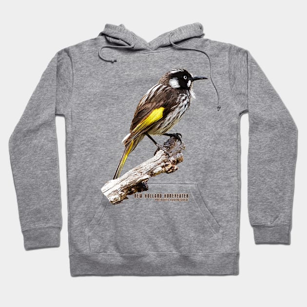 New Holland Honeyeater_02c Hoodie by seadogprints